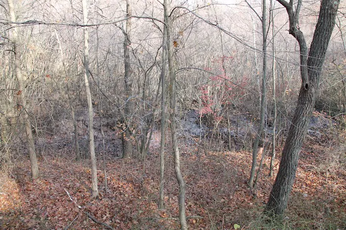 Abraham's Pond Picture 2