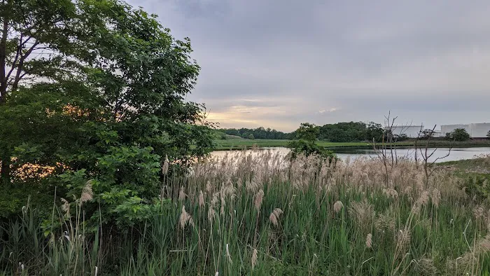 Joseph Medwick Park Picture 1