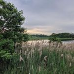 Joseph Medwick Park