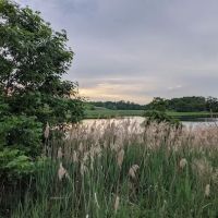 Joseph Medwick Park ico