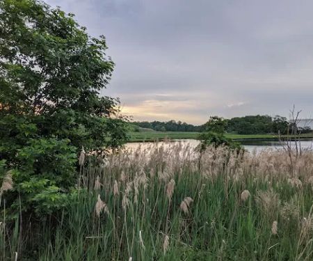 Joseph Medwick Park