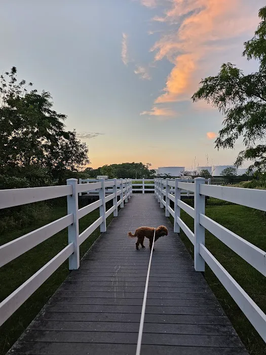 Joseph Medwick Park Picture 6