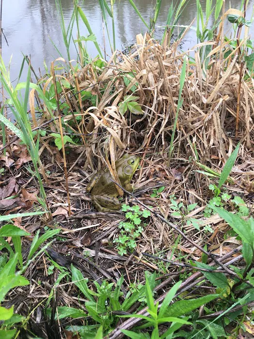 Ernest L. Oros Wildlife Preserve Picture 1