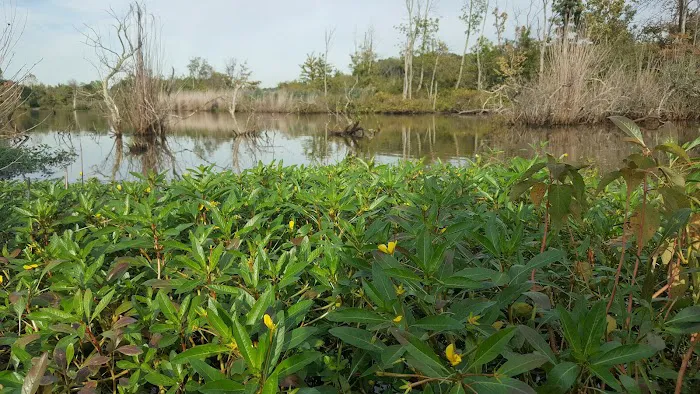 Ernest L. Oros Wildlife Preserve Picture 4