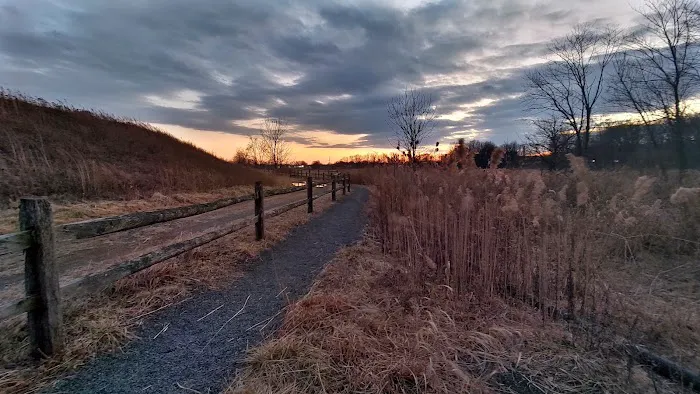 Hawk Rise Sanctuary Picture 6