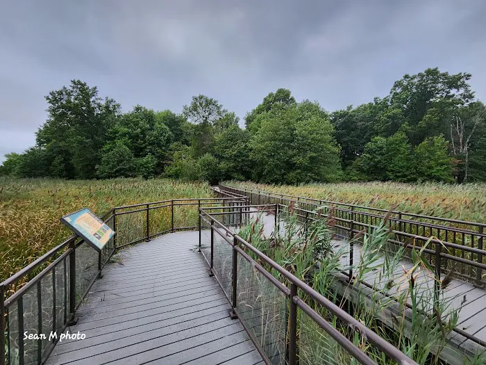Hawk Rise Sanctuary Picture 5