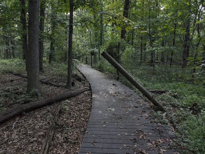 Hawk Rise Sanctuary Picture 2