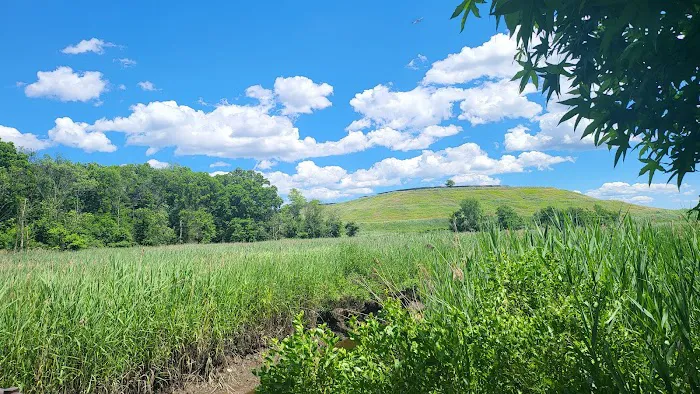 Hawk Rise Sanctuary Picture 3