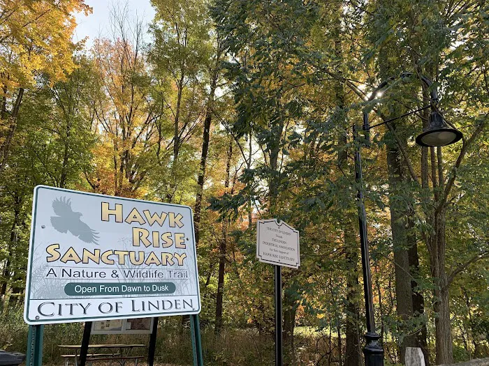 Hawk Rise Sanctuary Picture 1