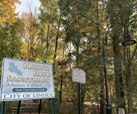 Hawk Rise Sanctuary