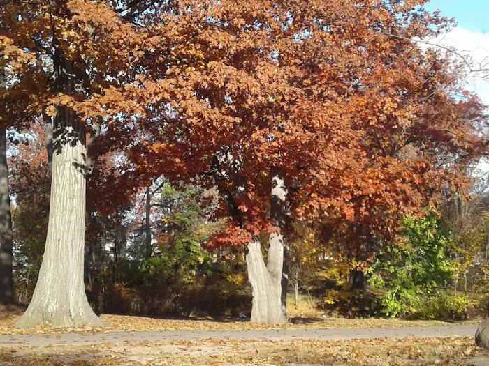 John Russell Wheeler Park Picture 4