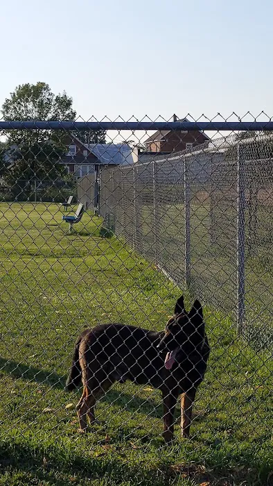 Memorial Field Park Picture 7