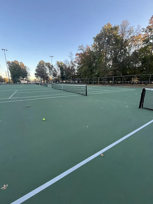 Memorial Field Park Picture 10