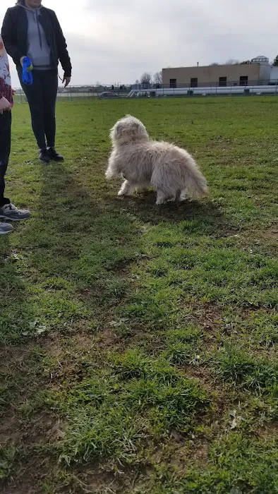 Memorial Field Park Picture 6