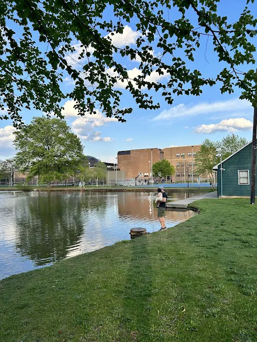 Wilson Park Picture 3