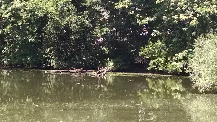 Huguenot Ponds Park Picture 7