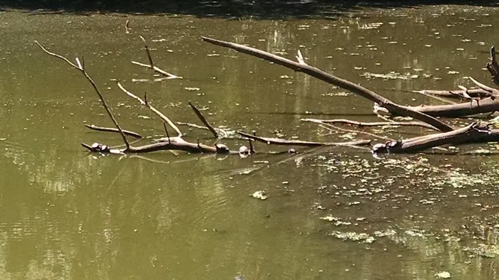 Huguenot Ponds Park Picture 1