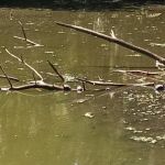 Huguenot Ponds Park