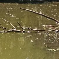 Huguenot Ponds Park ico