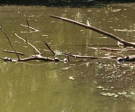 Huguenot Ponds Park