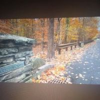 Arbutus Woods Park ico