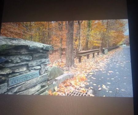 Arbutus Woods Park