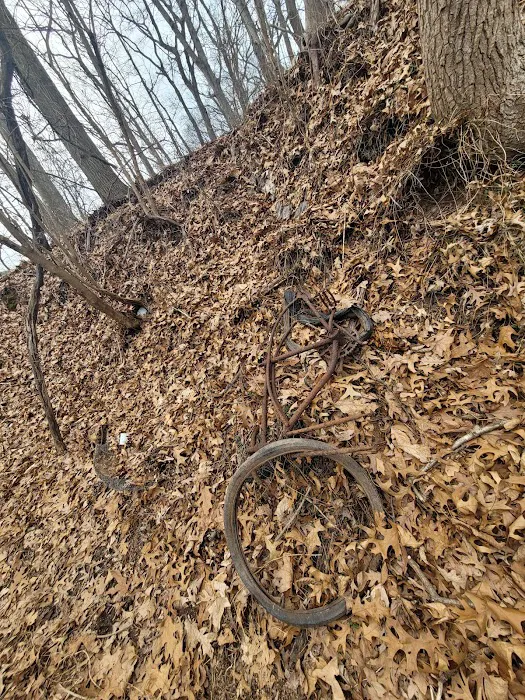 Arbutus Woods Park Picture 7