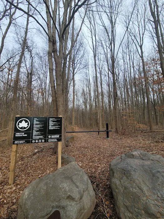 Arbutus Woods Park Picture 9