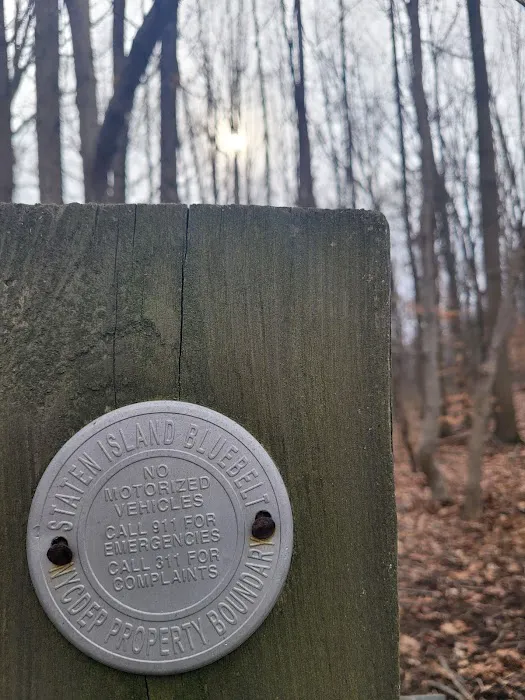 Arbutus Woods Park Picture 4