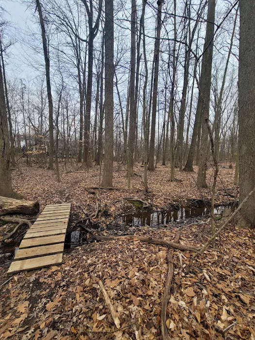 Arbutus Woods Park Picture 6