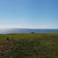 Bayview Terrace Park ico