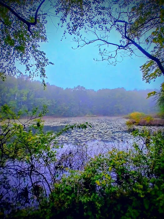 Spring Pond Picture 6