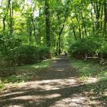 Kennedy Reservation