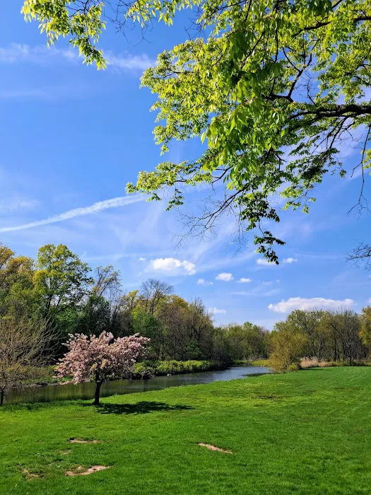 Charlotte DeFilippo Park Picture 3