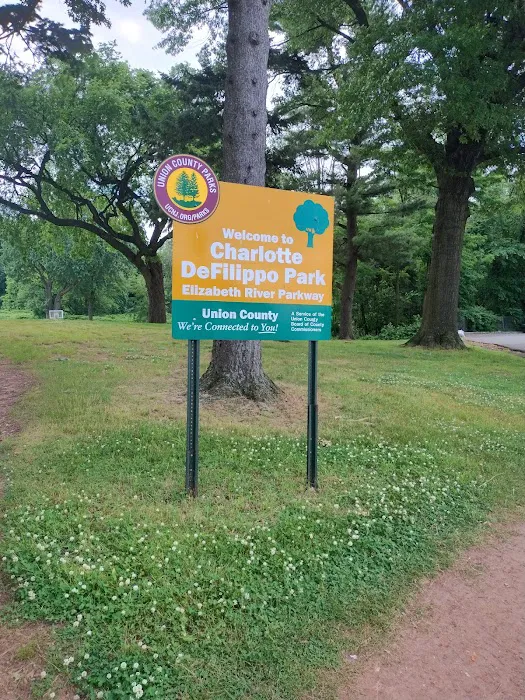 Charlotte DeFilippo Park Picture 4