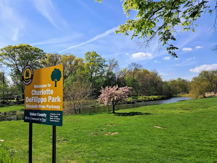 Charlotte DeFilippo Park Picture 6
