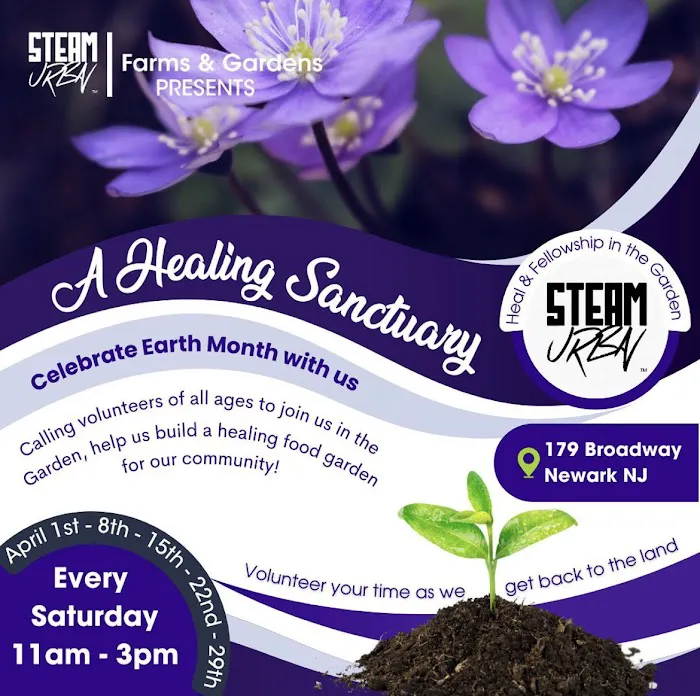 A Healing Sanctuary Picture 6