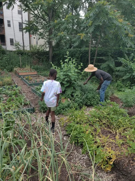 The People's Garden Picture 10
