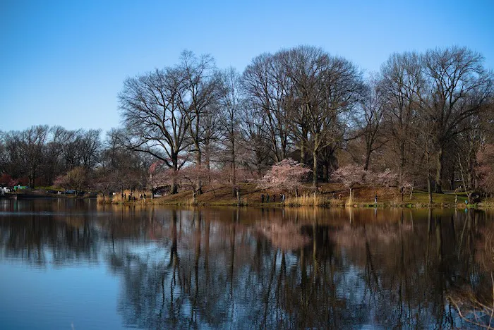 Branch Brook Park Picture 10