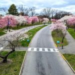 Branch Brook Park