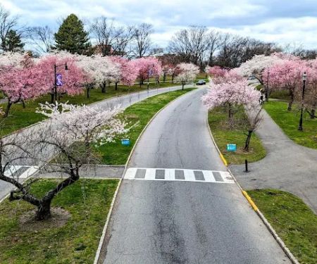 Branch Brook Park