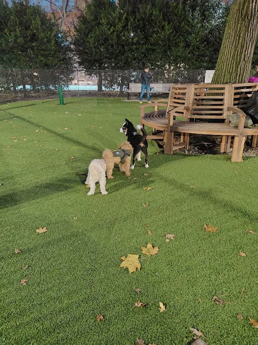 Urban Pups Picture 4