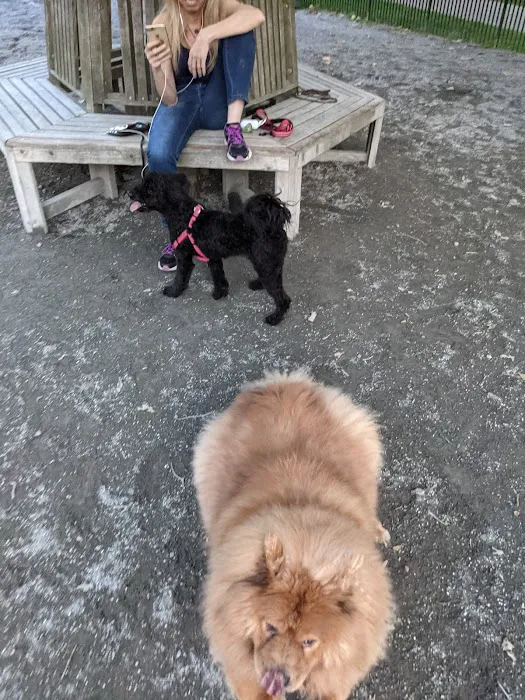 Urban Pups Picture 7
