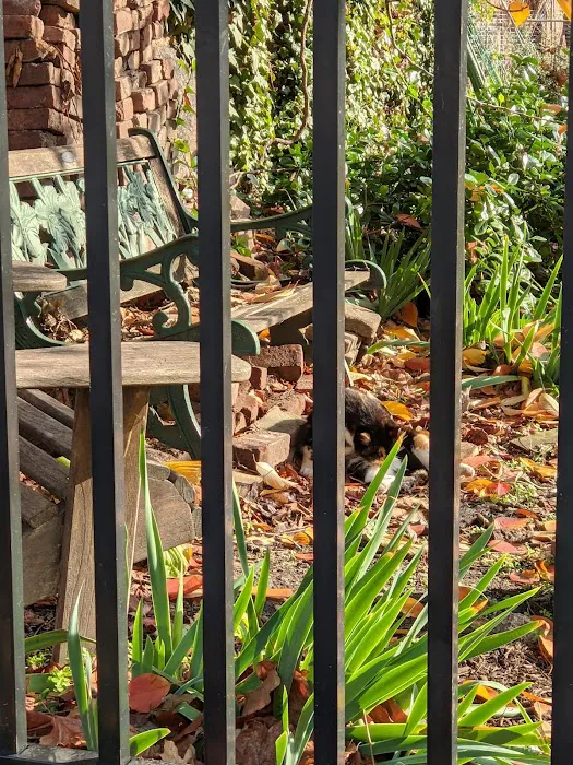 Brunswick Garden Picture 4