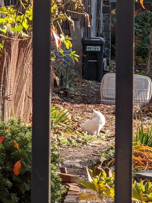 Brunswick Garden Picture 1