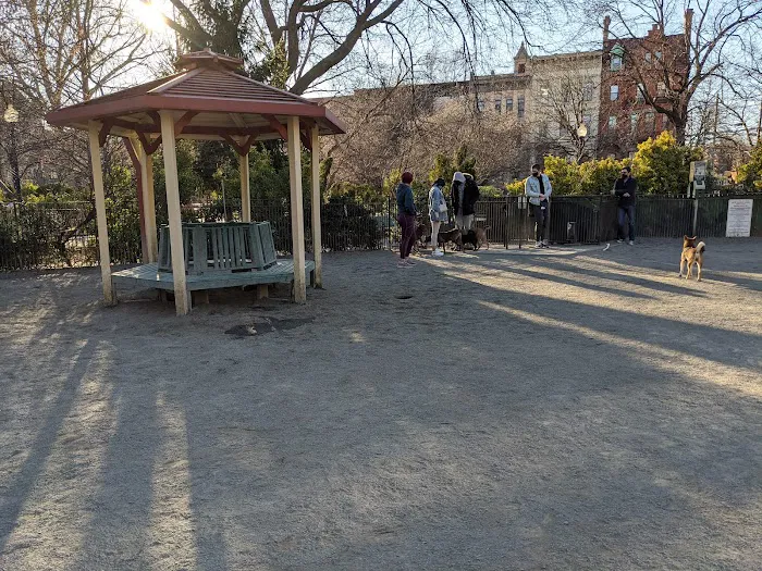 Dog Park Picture 6