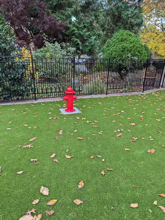 Dog Park Picture 2