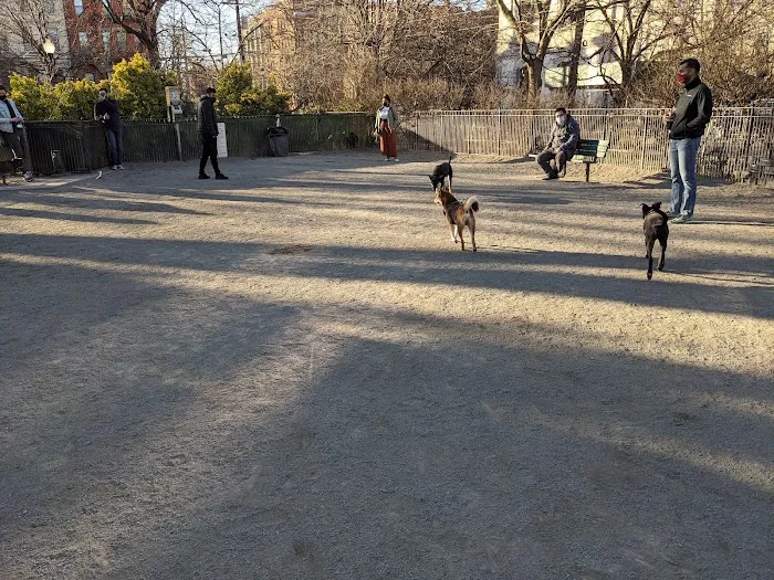 Dog Park Picture 8