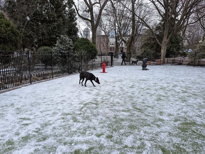 Dog Park Picture 10
