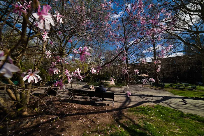 Van Vorst Park Picture 6